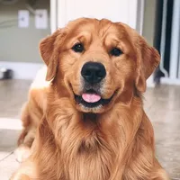 Муслим Мустафин