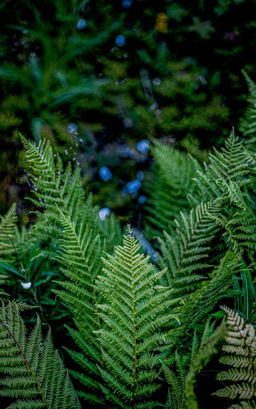 п-ов Средний в деталях om0a0122.webp