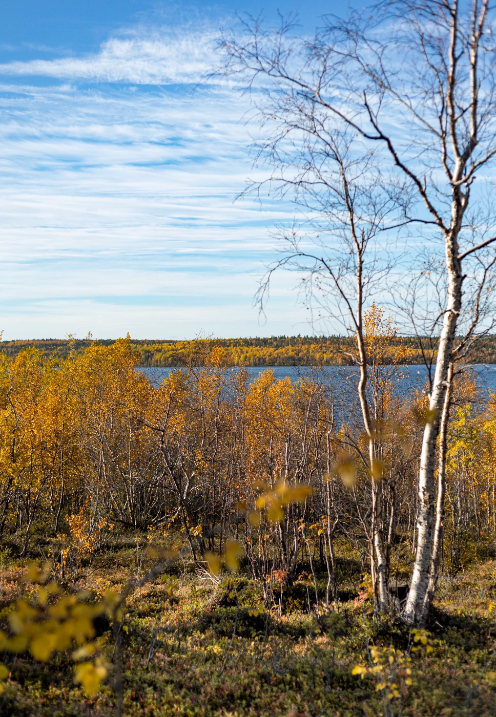 Осенние мгновения om0a1895.webp