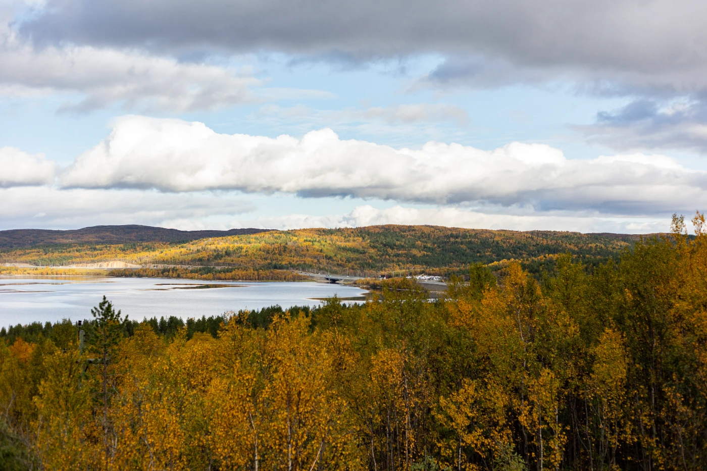 Короткая северная осень om0a1829.webp