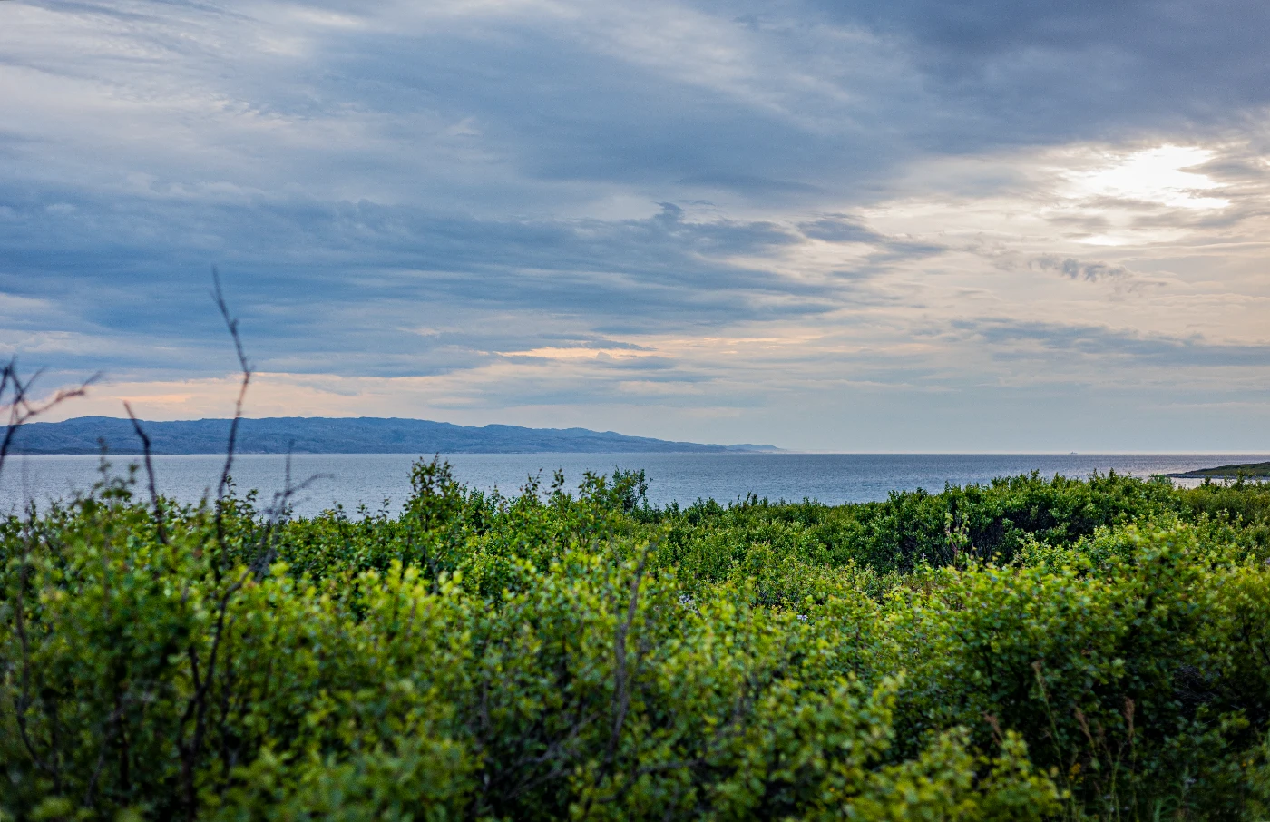 п-ов Средний через пейзажи om0a0109.webp