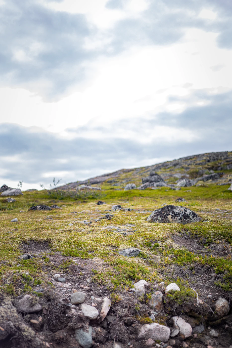 п-ов Средний через пейзажи om0a0095.webp