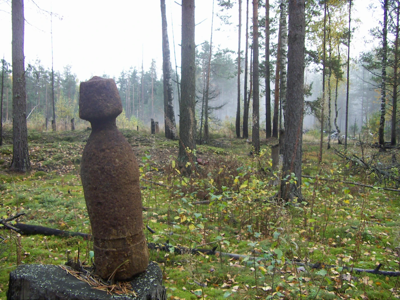 Документальный фильм "Сапёры" pict0105.webp