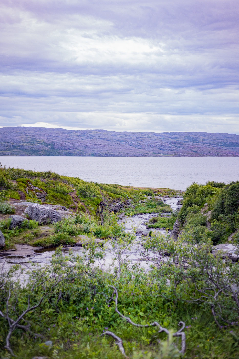 п-ов Средний через пейзажи om0a0104.webp