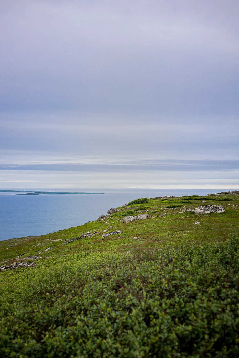 п-ов Средний через пейзажи om0a0257.webp