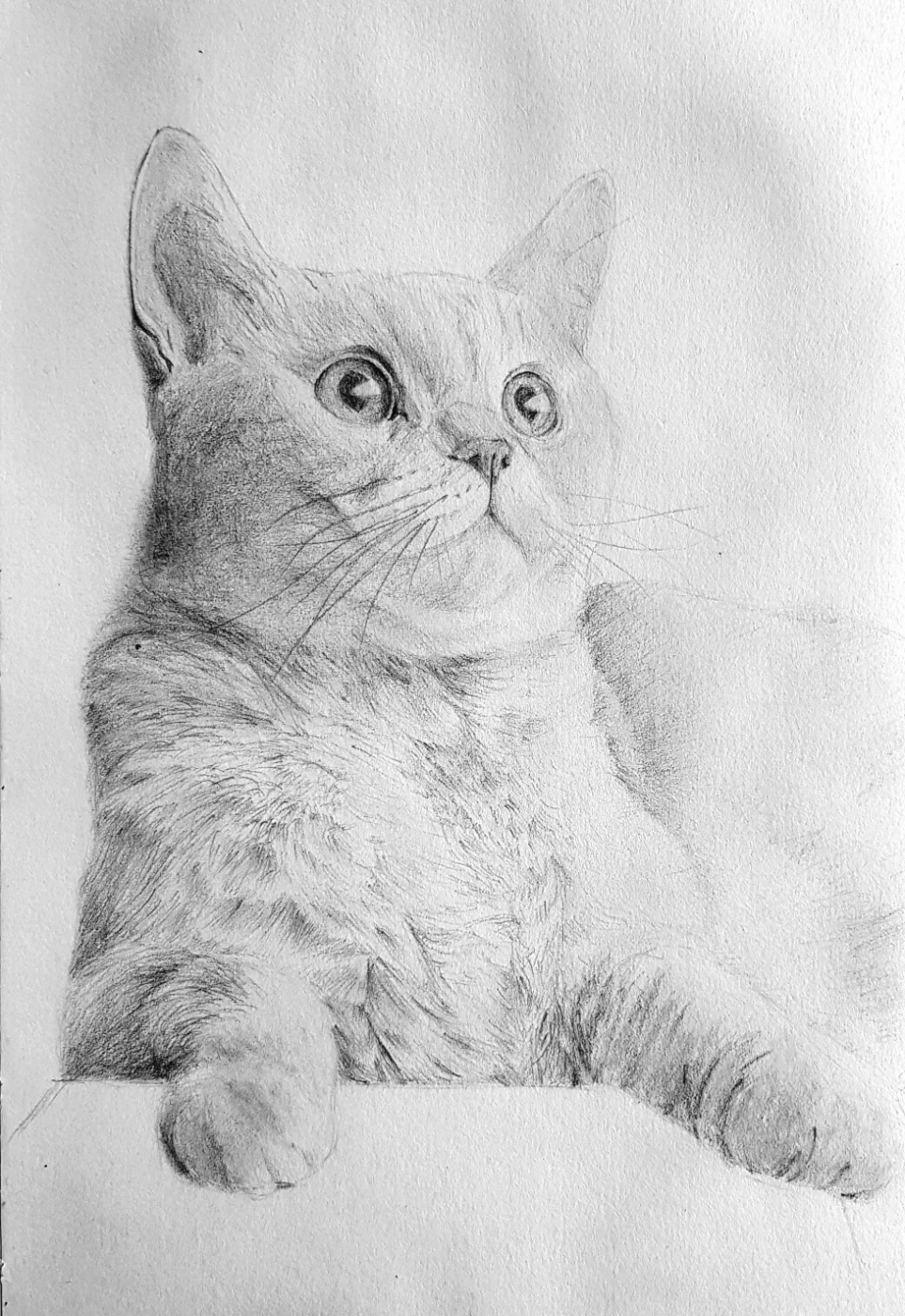 Мои рисунки 20251231-150755.webp