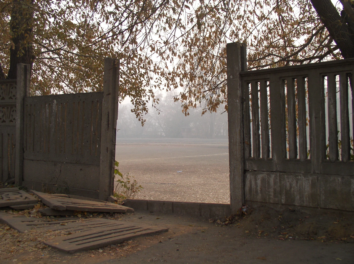 портреты, сценки izobrazhenie-023.webp