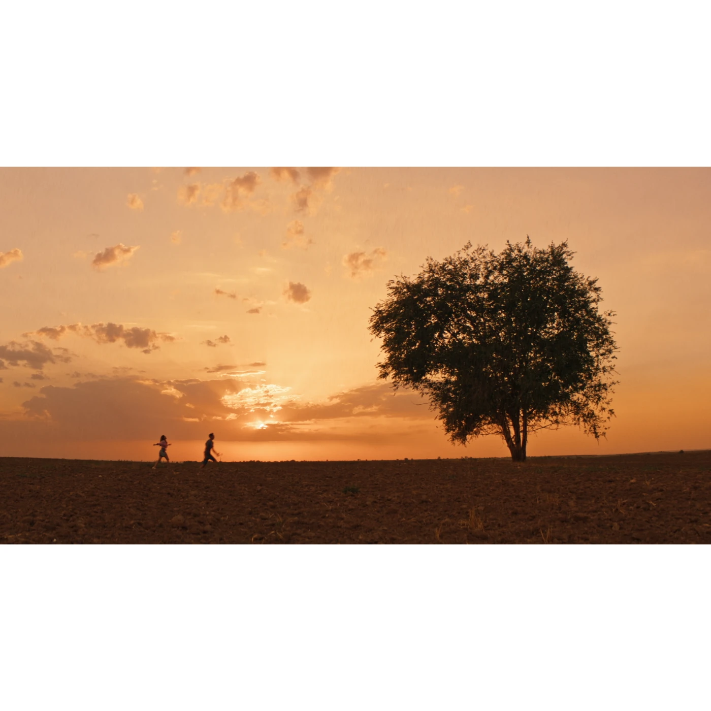 Feature film “Украсть свои деньги” 77.webp