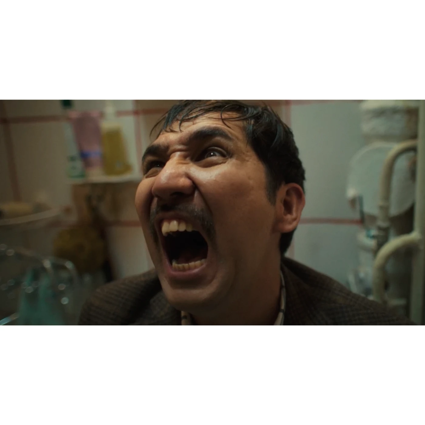 Feature film “Менің папам - тигр” 114.webp