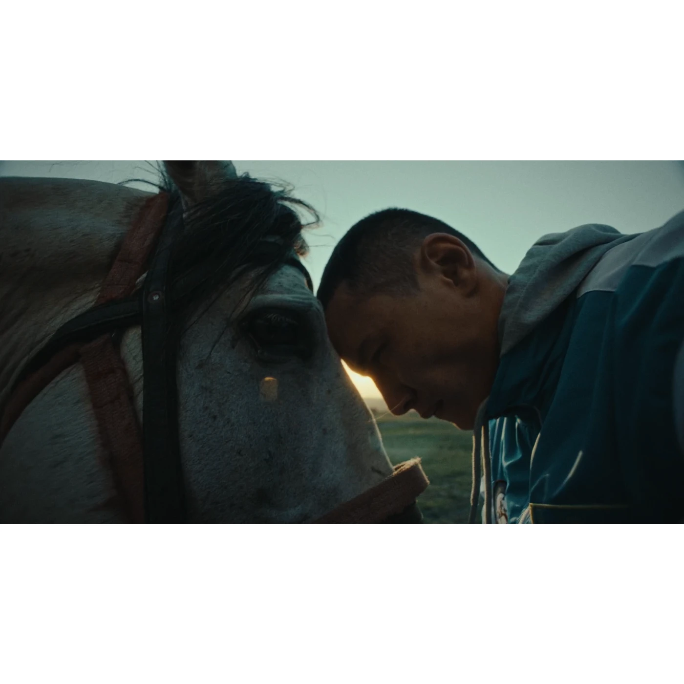 Series “Octagon” 51.webp