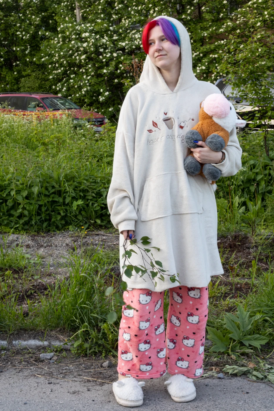 Эксперименты в полярный летний день om0a8534.webp