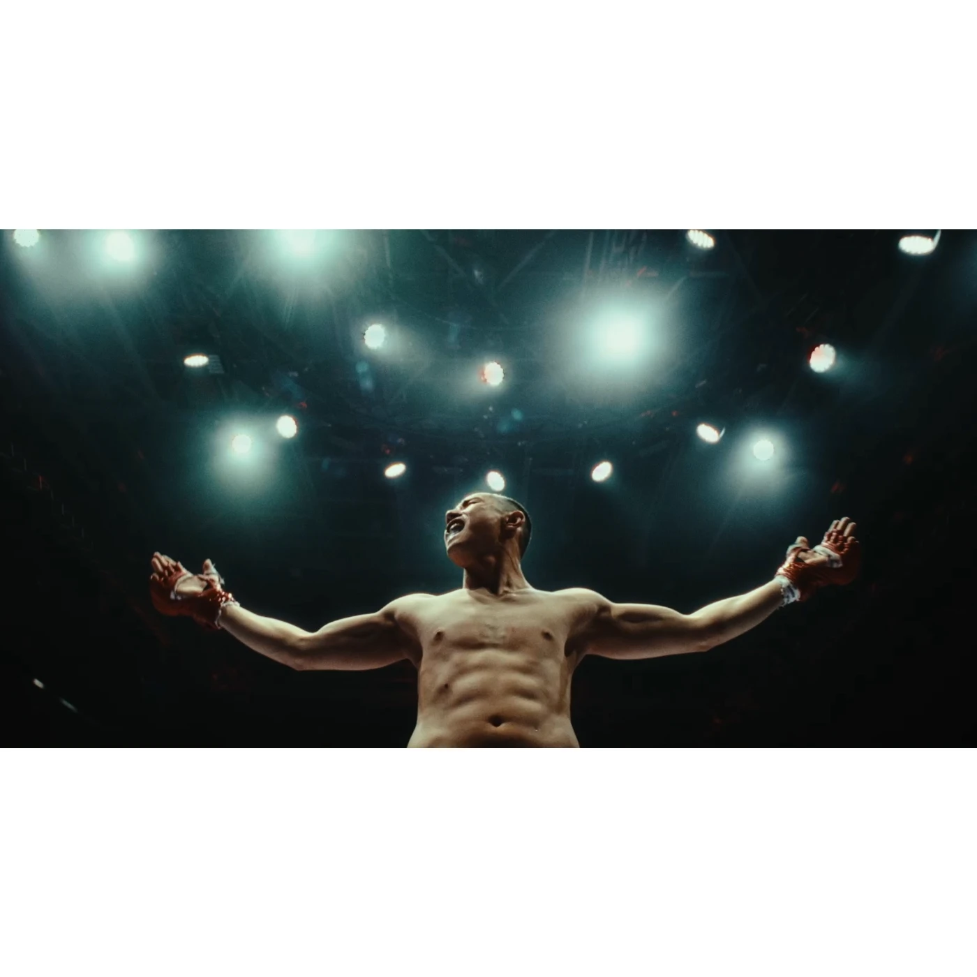 Series “Octagon” dizai-n-bez-nazvaniya.webp