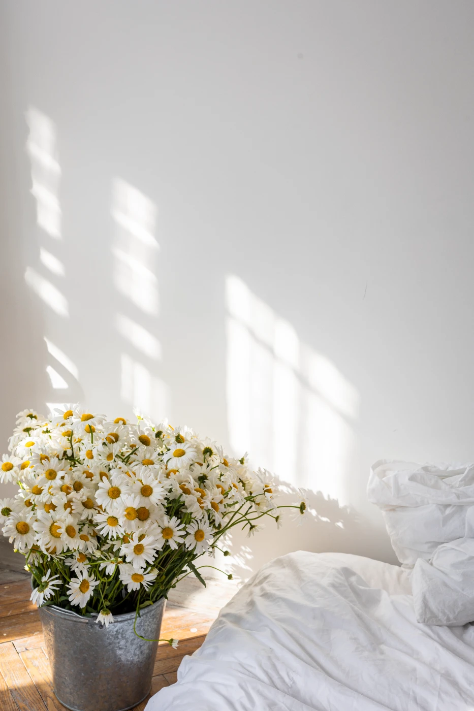 Нежные ромашки и объятия) om0a0360.webp