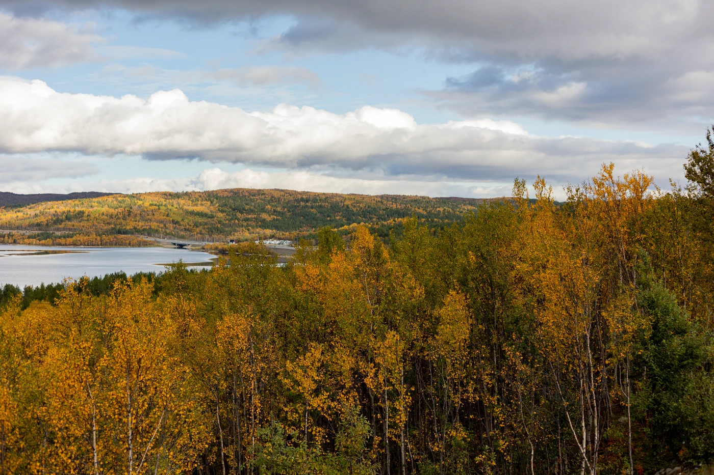 Короткая северная осень om0a1830.webp