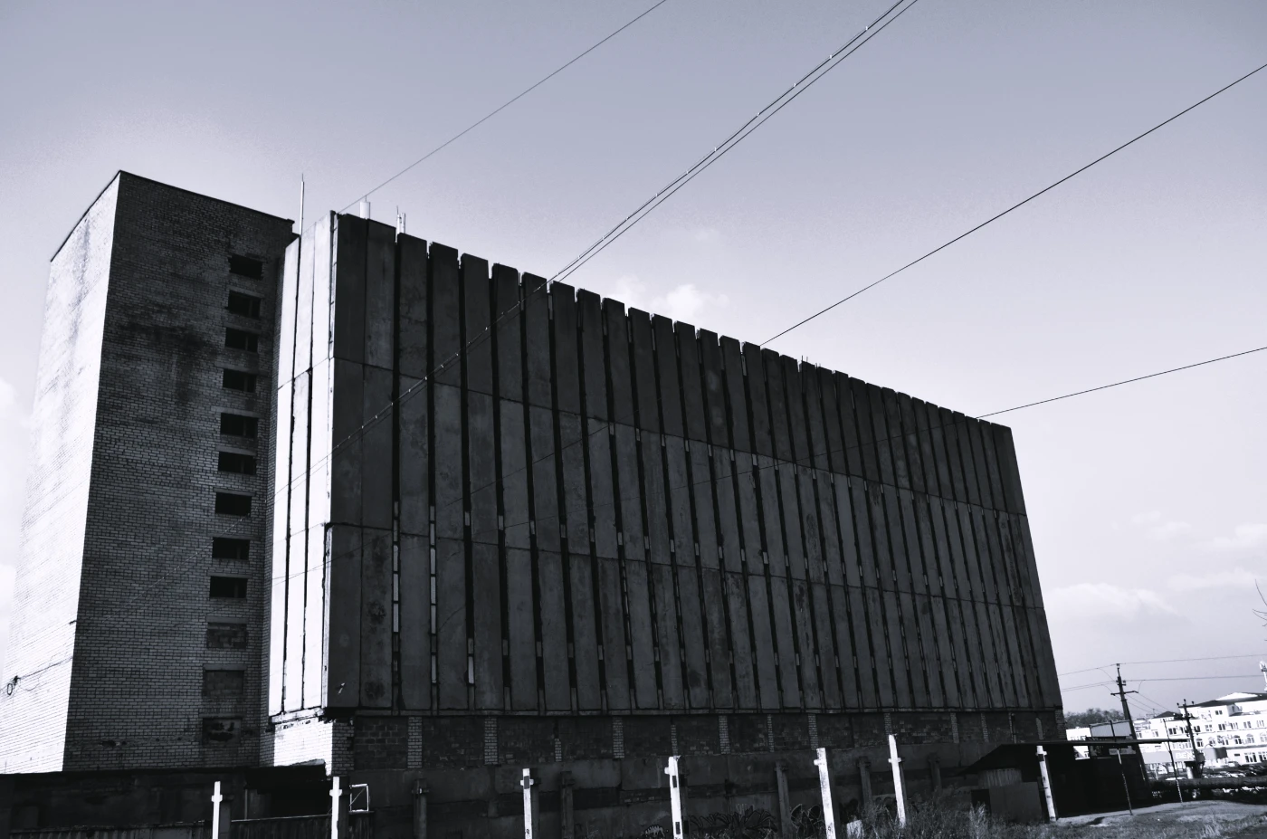 Стрит фото dsc-0202.webp