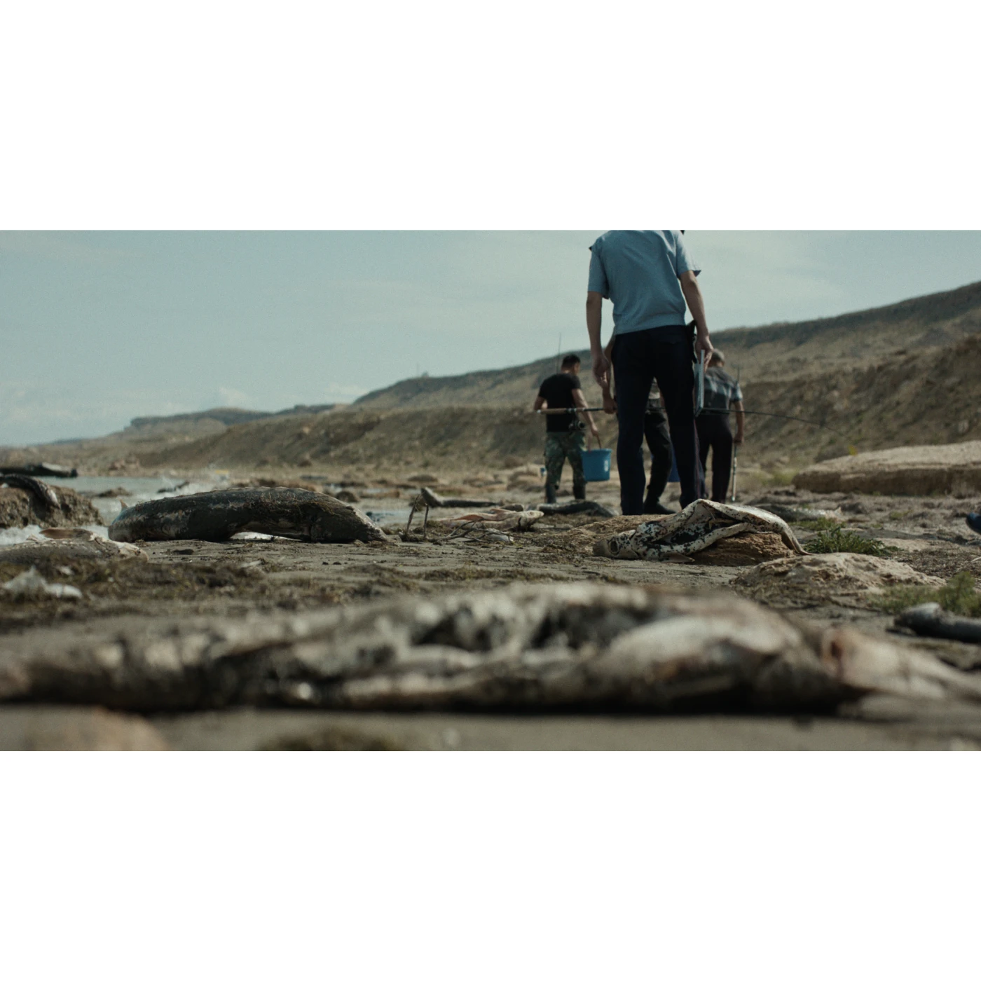 Series “Қара Бекіре” 172.webp