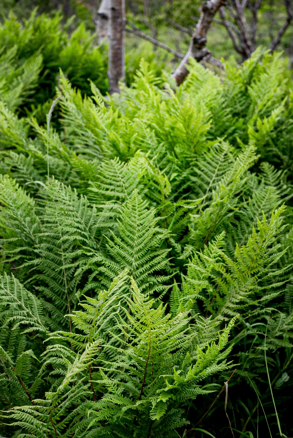 п-ов Средний в деталях om0a0189.webp