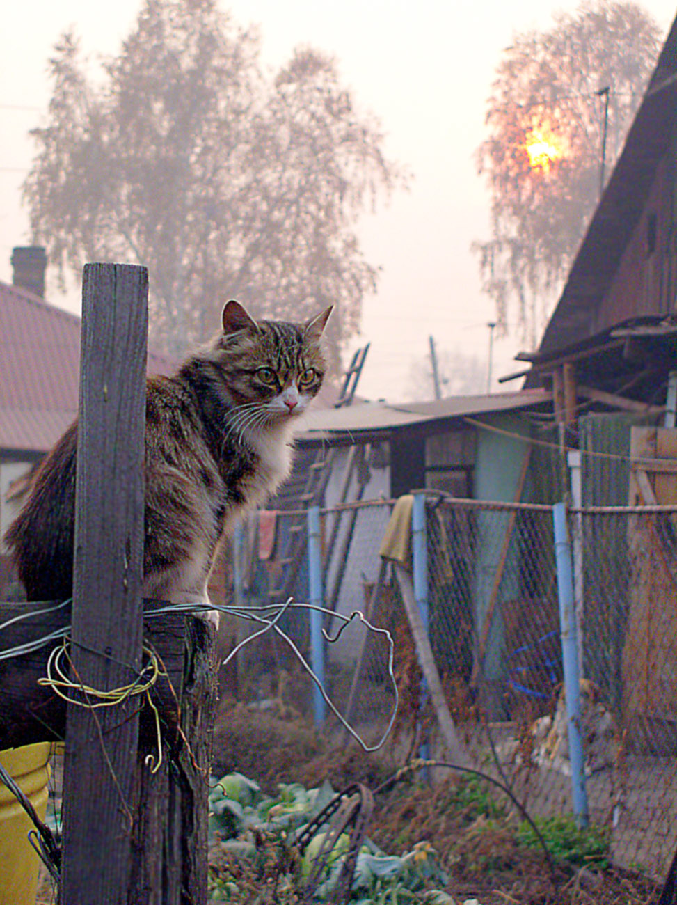 портреты, сценки 11-7.jpg