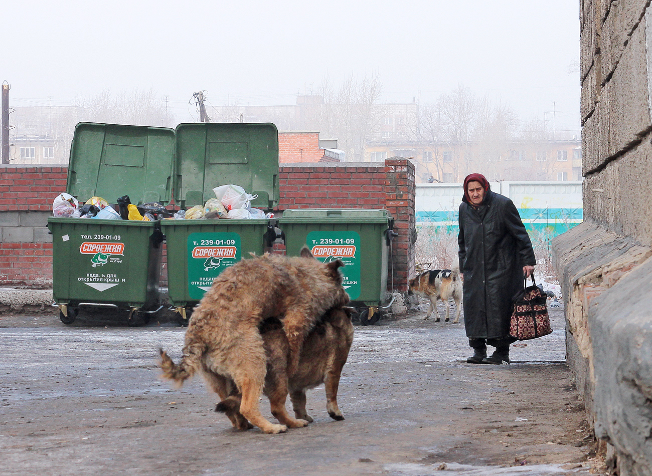 портреты, сценки img-0189-2.jpg