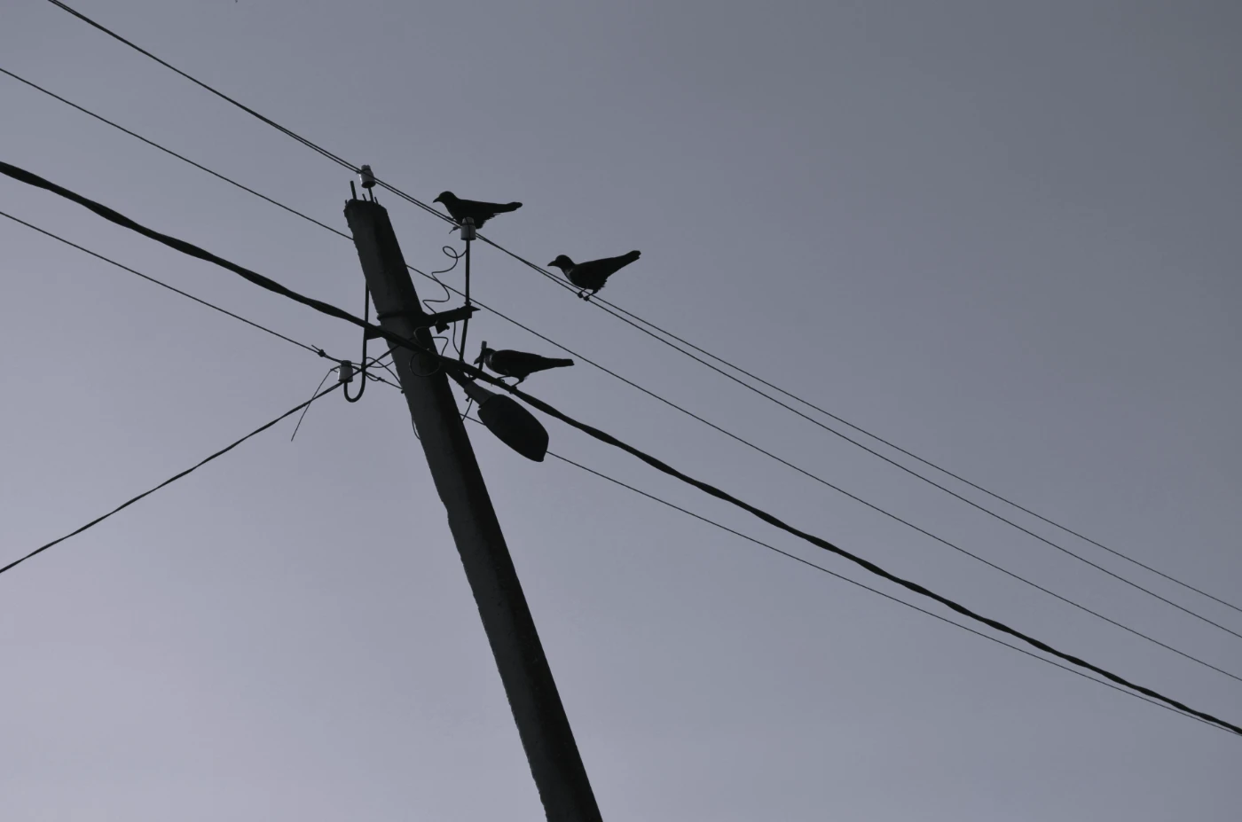 Стрит фото 44.webp