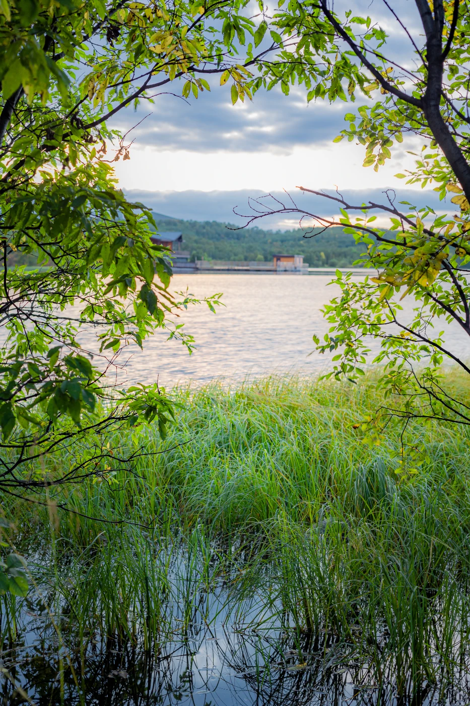 Фотопрогулка на озере om0a1212.webp