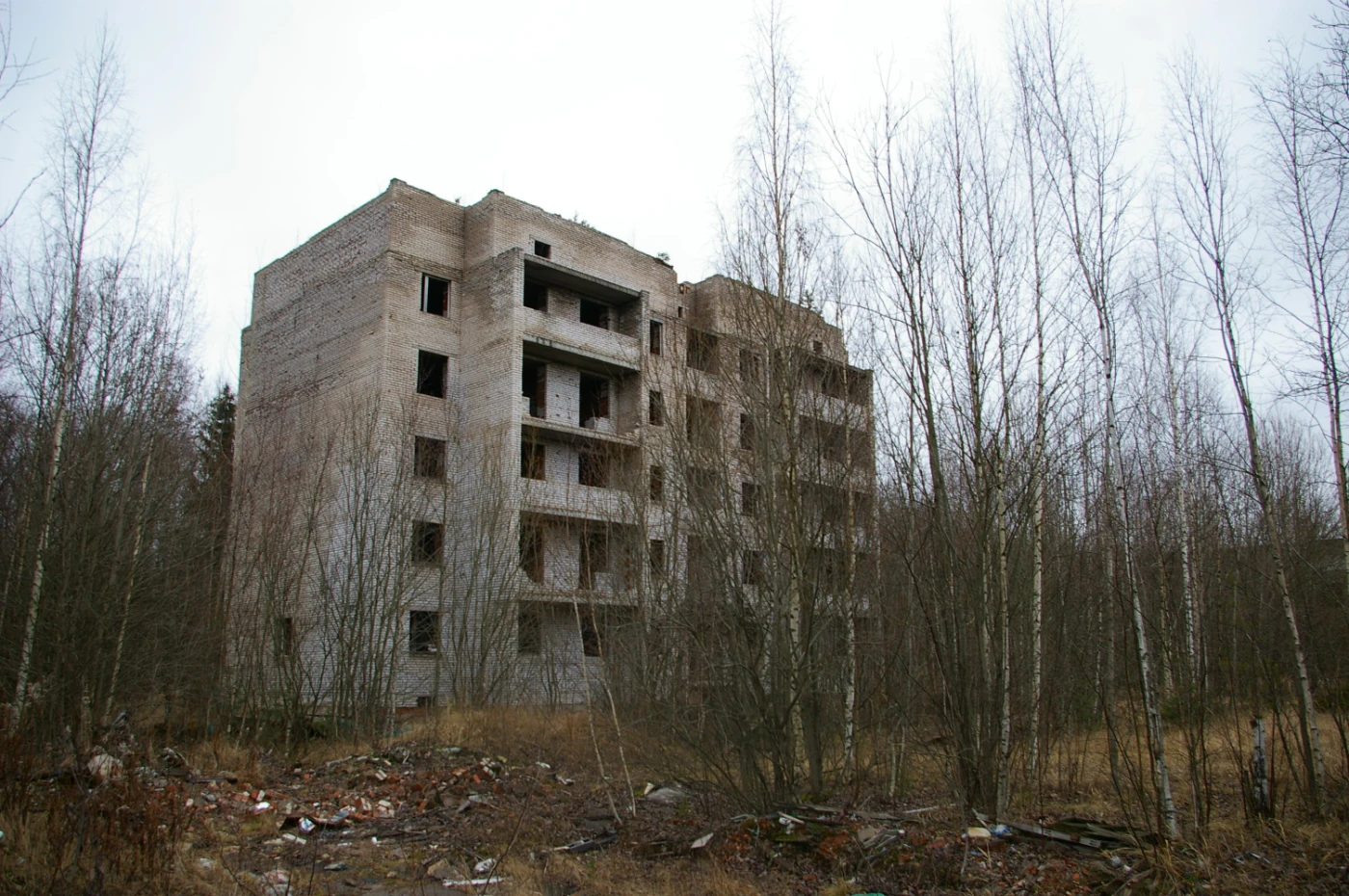 "Зомби" sg1l1388.webp