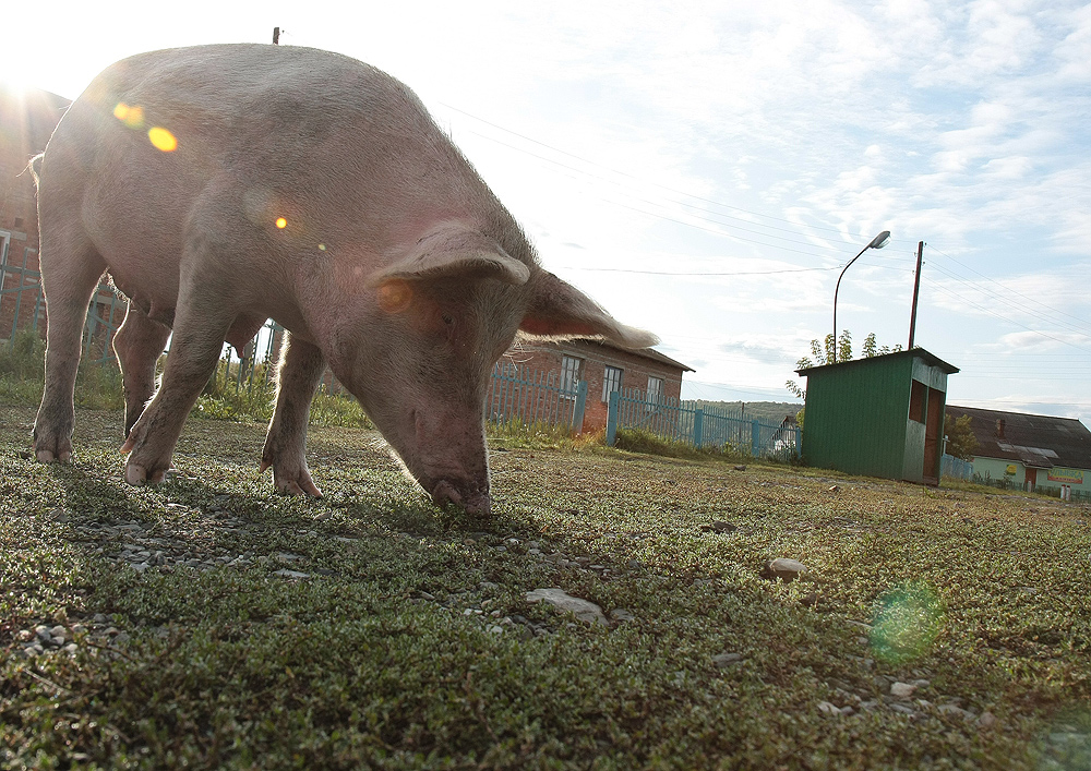 портреты, сценки 354-2.jpg