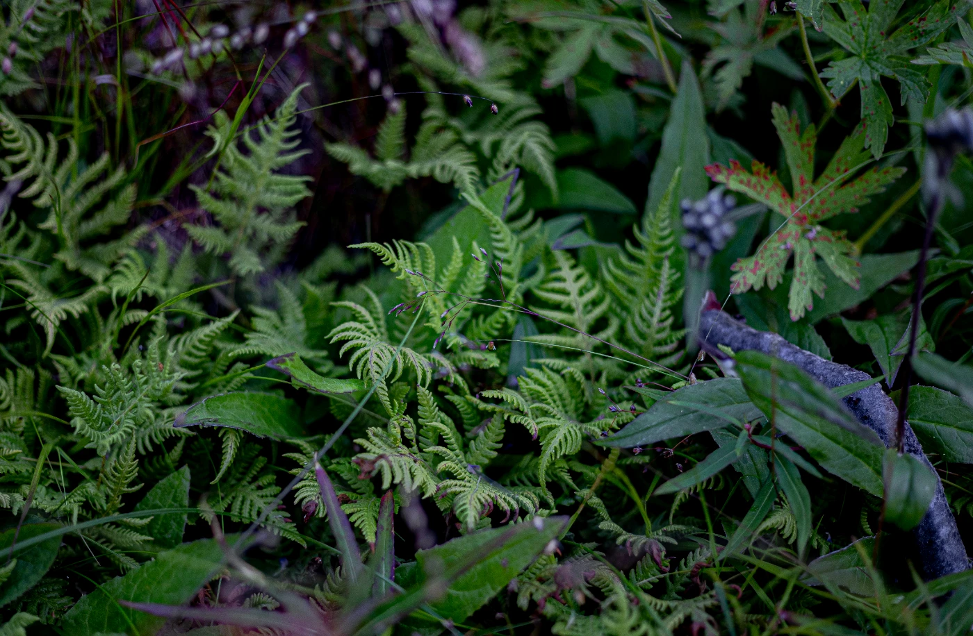 п-ов Средний в деталях om0a0120.webp